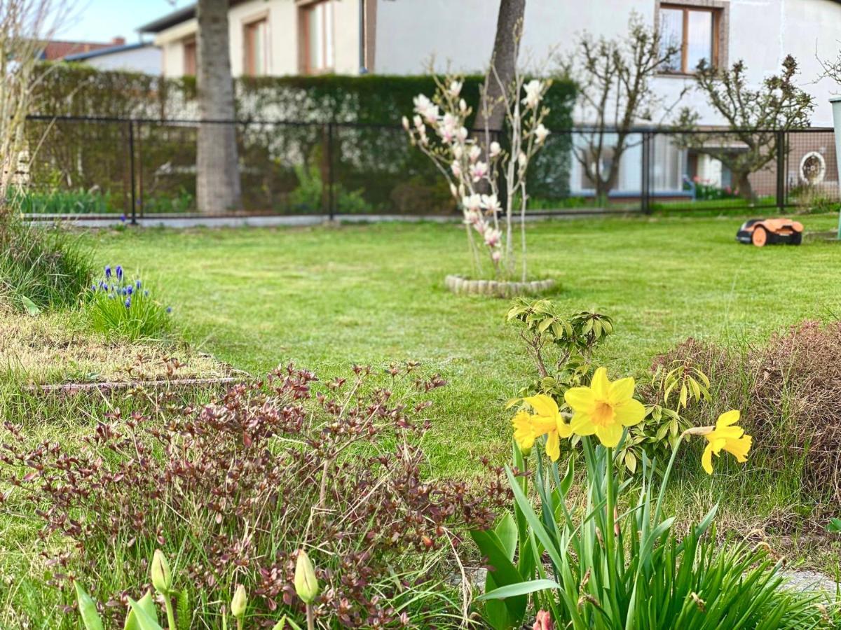 Fewo Sunshine Heringsdorf Dış mekan fotoğraf