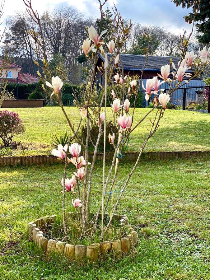 Fewo Sunshine Heringsdorf Dış mekan fotoğraf